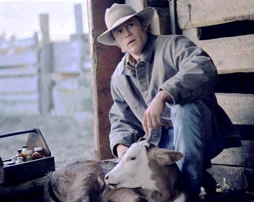 Brokeback Mountain Brokeback Mountain