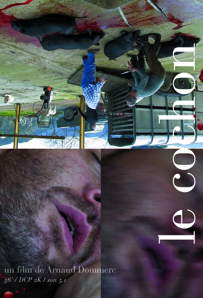 Le cochon