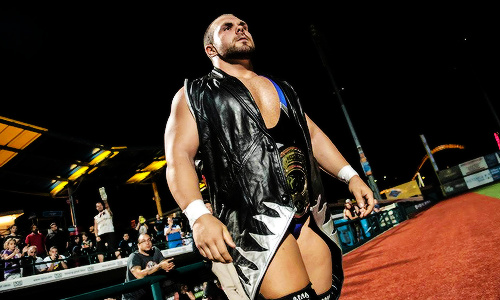 Michael Elgin