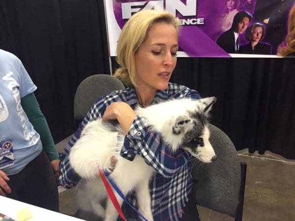 Gillian Anderson