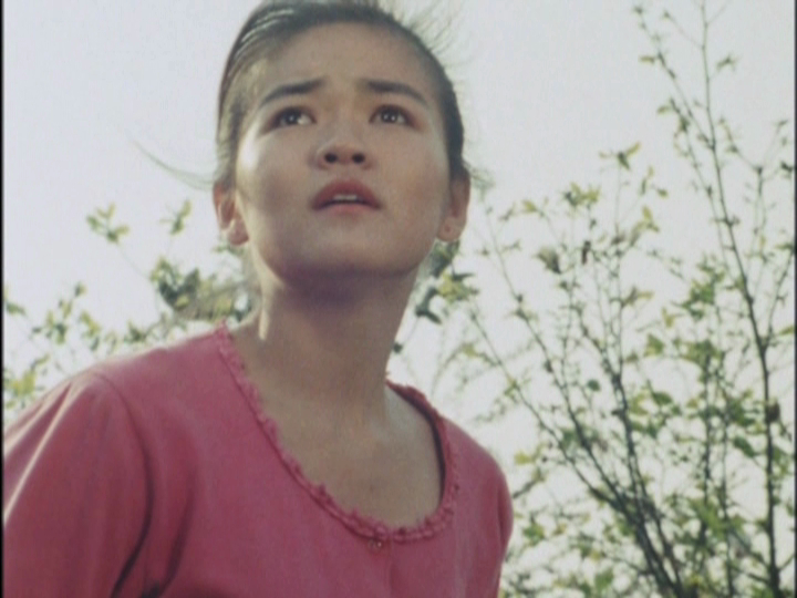 Rin (Dairanger)