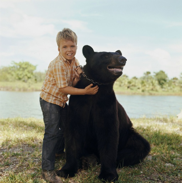 Gentle Ben Gentle Ben