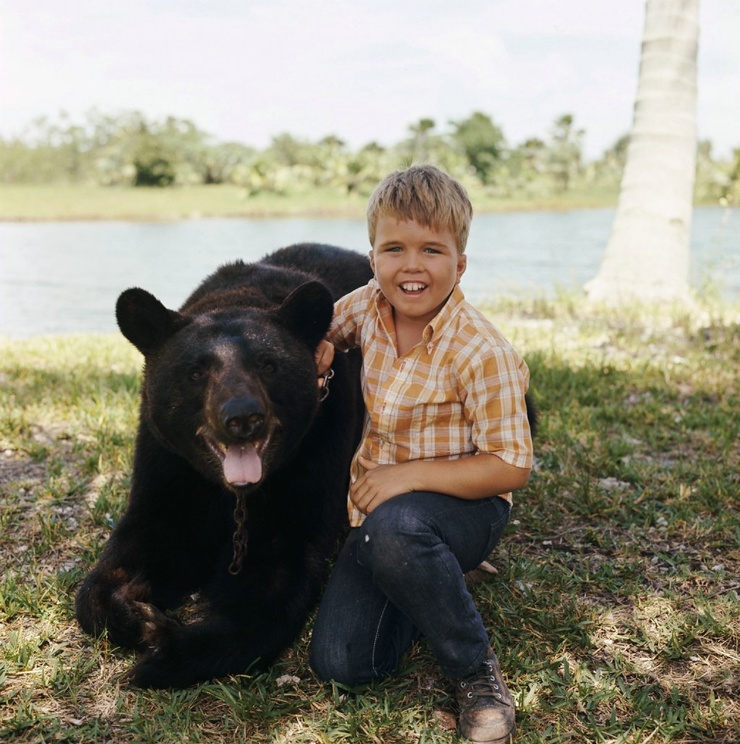 Gentle Ben Gentle Ben