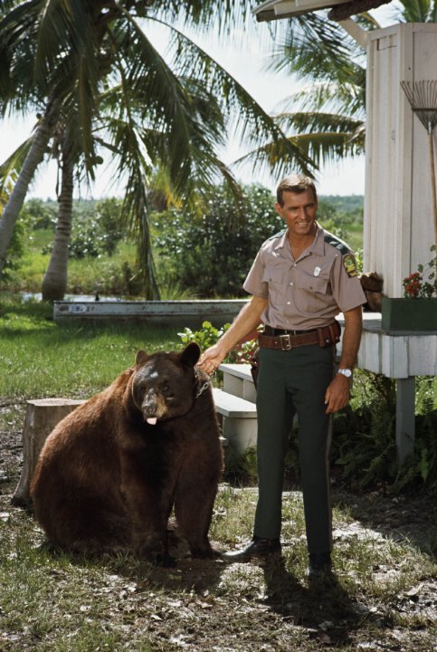 Gentle Ben Gentle Ben