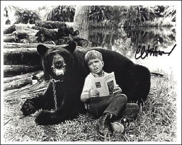 Gentle Ben Gentle Ben