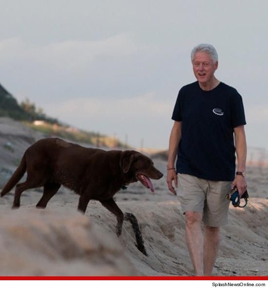 Bill Clinton Bill Clinton