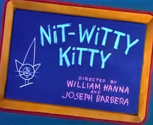 Nit-Witty Kitty