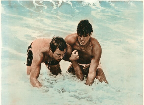 Ride the Wild Surf Ride the Wild Surf