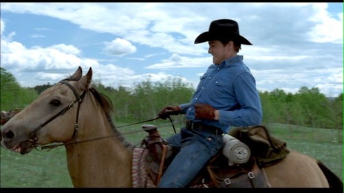 Brokeback Mountain