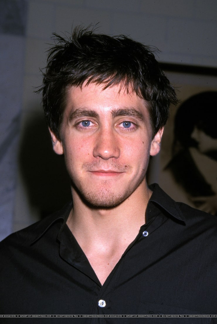 Picture of Jake Gyllenhaal