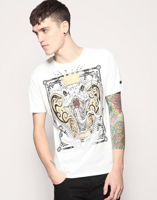 Josh Beech