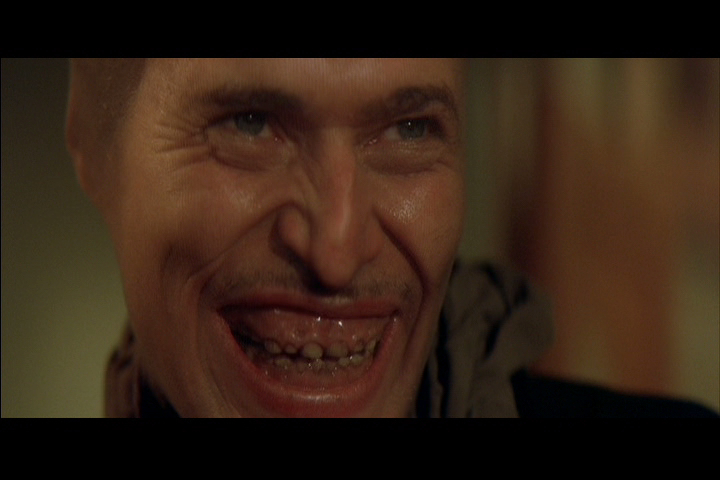 Wild at Heart Wild at Heart