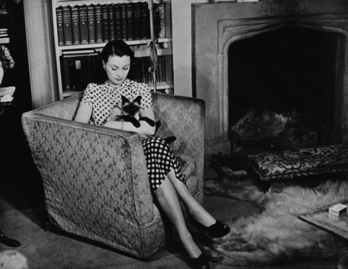 Vivien Leigh Vivien Leigh