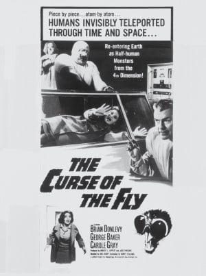 Picture of The Curse of the Fly (1965)