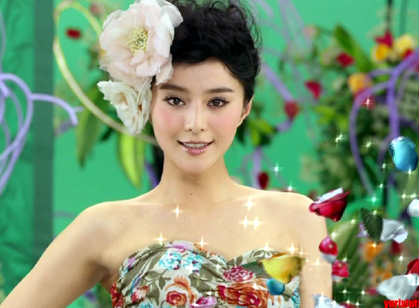 Bingbing Fan Bingbing Fan