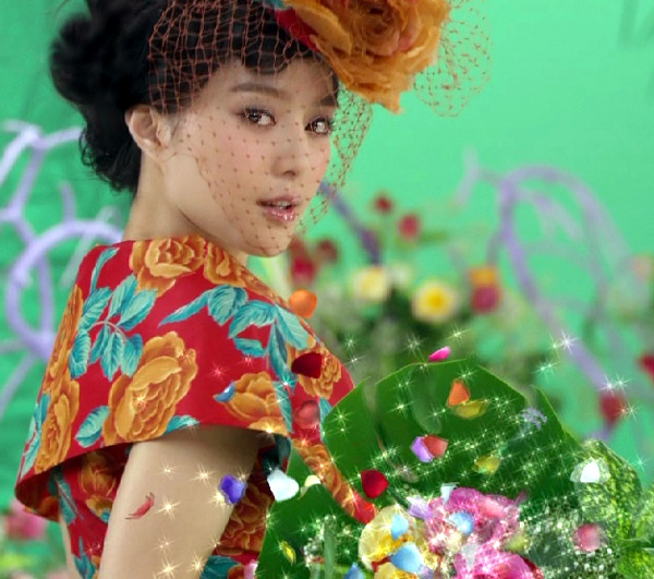 Bingbing Fan Bingbing Fan