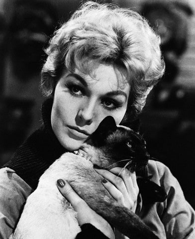 Picture of Kim Novak