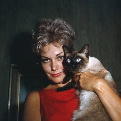 Kim Novak Kim Novak