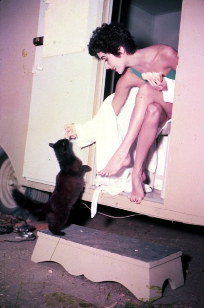 Elizabeth Taylor Elizabeth Taylor