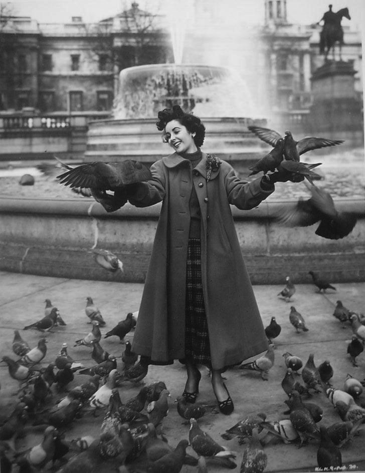 Elizabeth Taylor Elizabeth Taylor