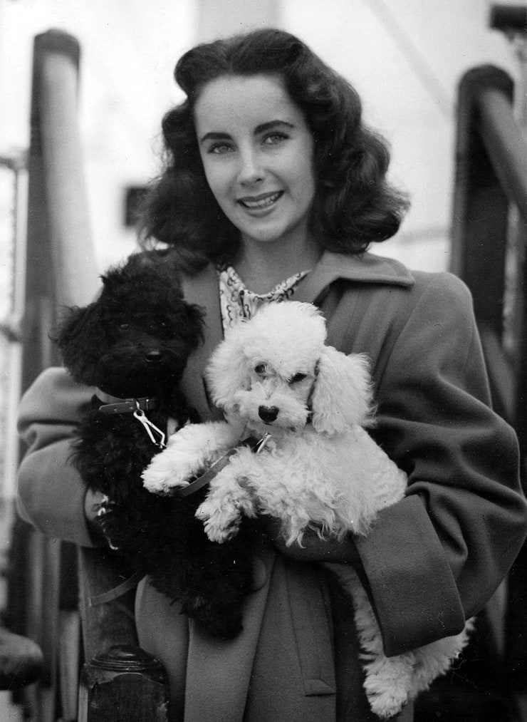 Elizabeth Taylor