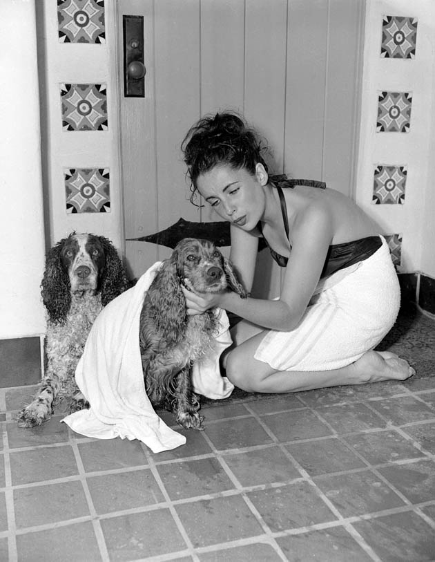 Elizabeth Taylor Elizabeth Taylor