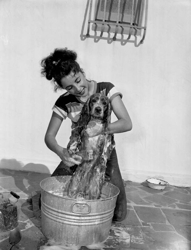 Elizabeth Taylor Elizabeth Taylor