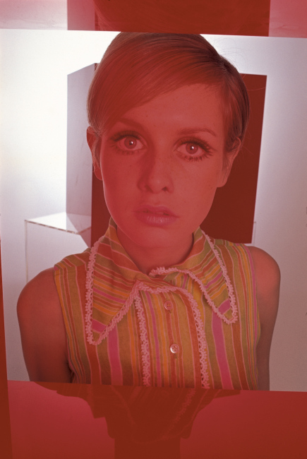 Twiggy Twiggy
