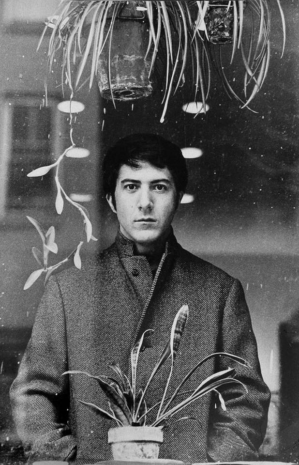 Dustin Hoffman Dustin Hoffman