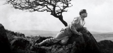 A Cottage on Dartmoor (1929)