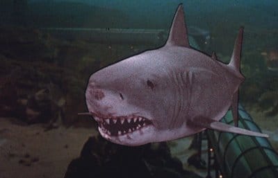 Jaws 3 Jaws 3