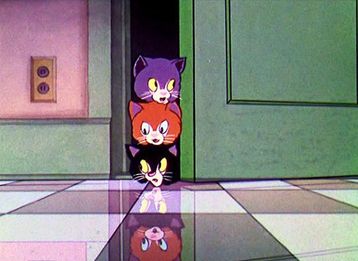 Three Orphan Kittens