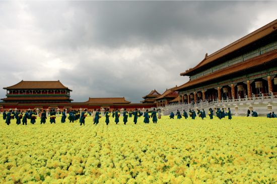 Curse of the Golden Flower