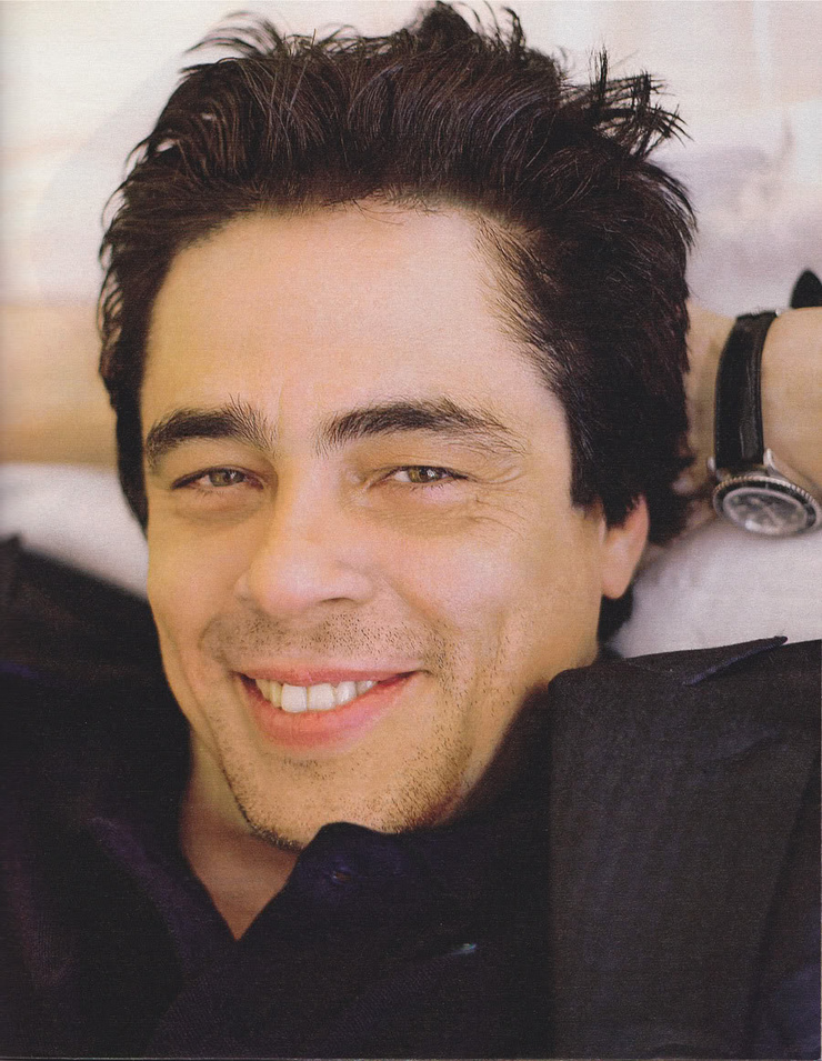 Benicio Del Toro