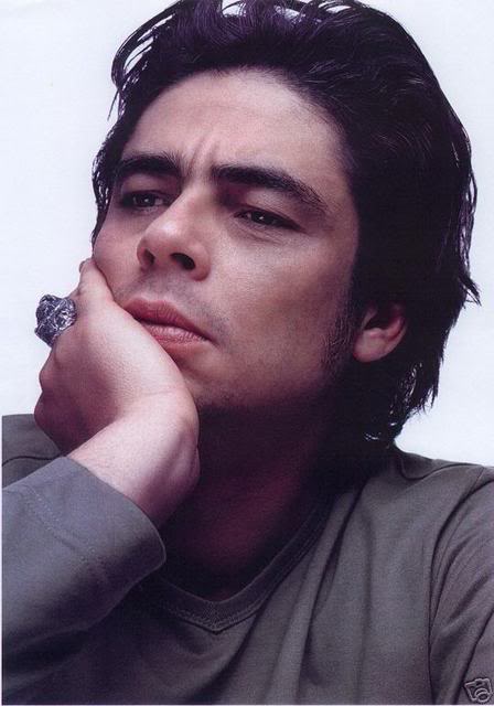 Benicio Del Toro