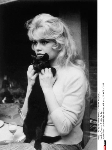 Brigitte Bardot Brigitte Bardot