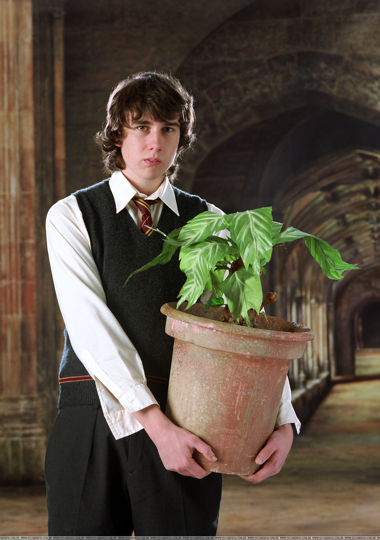 Harry Potter and the Goblet of Fire