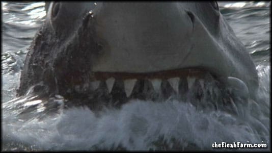 Jaws 2