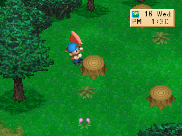 Harvest Moon: Back To Nature