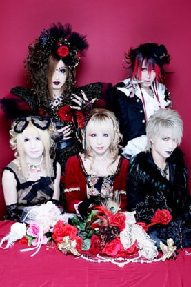 HIZAKI grace project