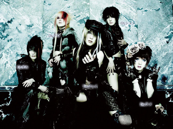 Vidoll
