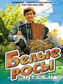 Picture of Belye rosy