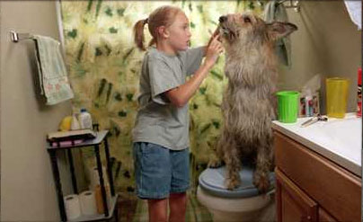 Because Of Winn-Dixie (2005)