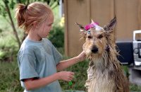 Because Of Winn-Dixie (2005)