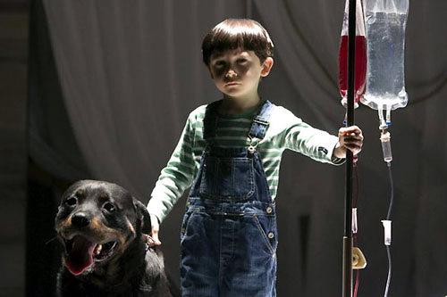 The Omen