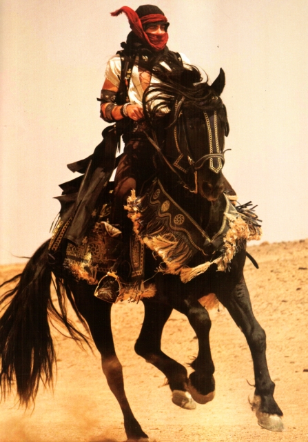 Prince of Persia: The Sands of Time Prince of Persia: The Sands of Time