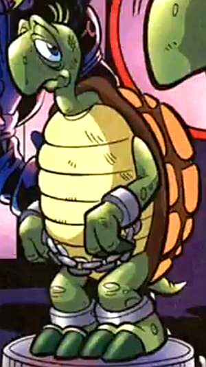 Tommy the Turtle