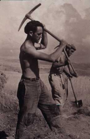 Rejas en la memoria