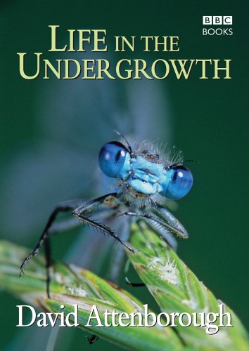 Life in the Undergrowth Life in the Undergrowth