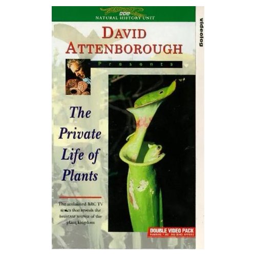 The Private Life of Plants